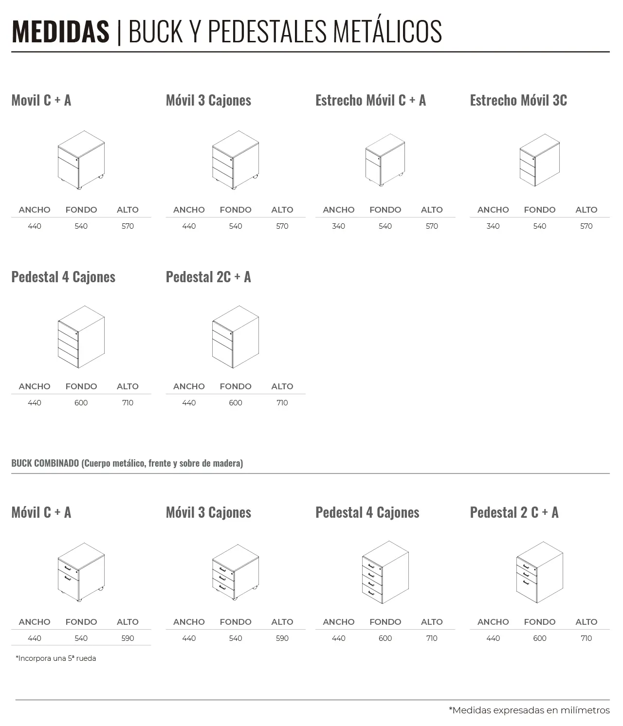 Bucks MT - Modelos 02